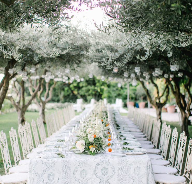 intimate family style wedding reception under olive trees