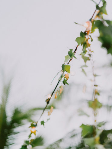 Island Glam Costa Rica Wedding with a Barefoot Bride ⋆ Ruffled