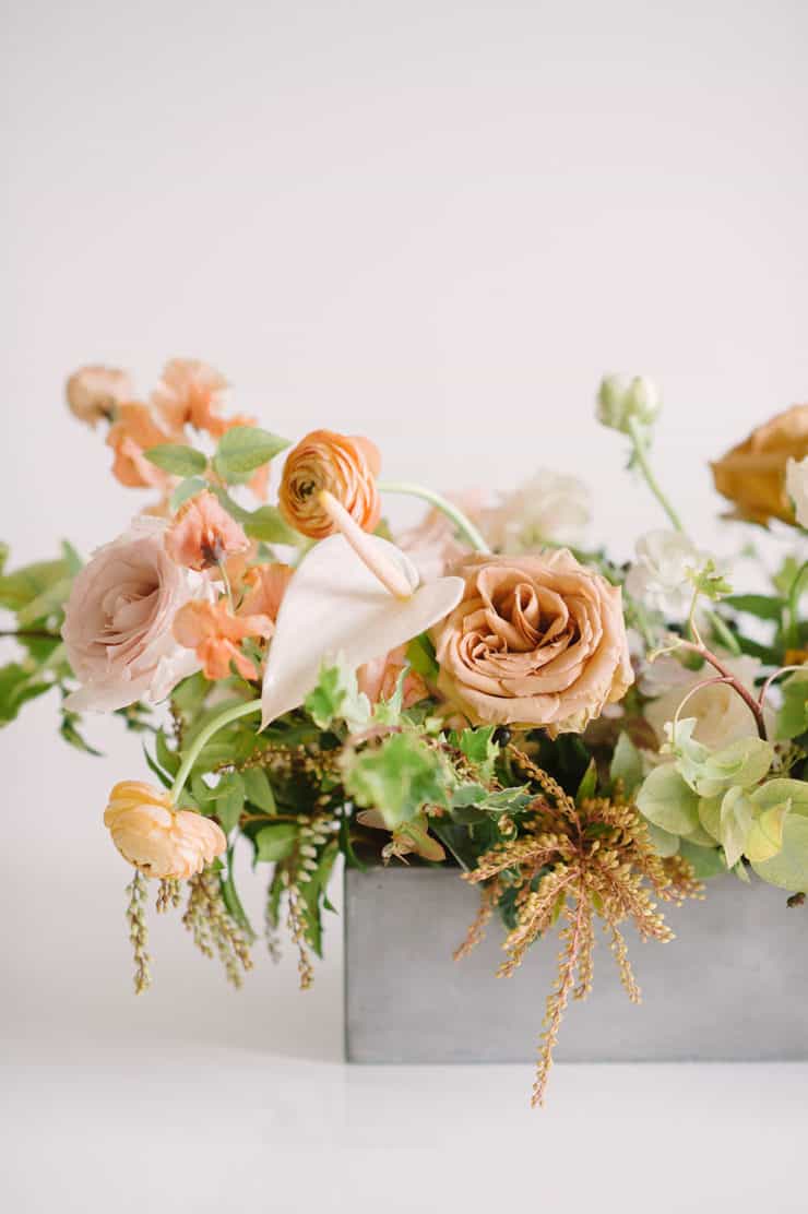 Abby Garden Floral Design ⋆ Ruffled