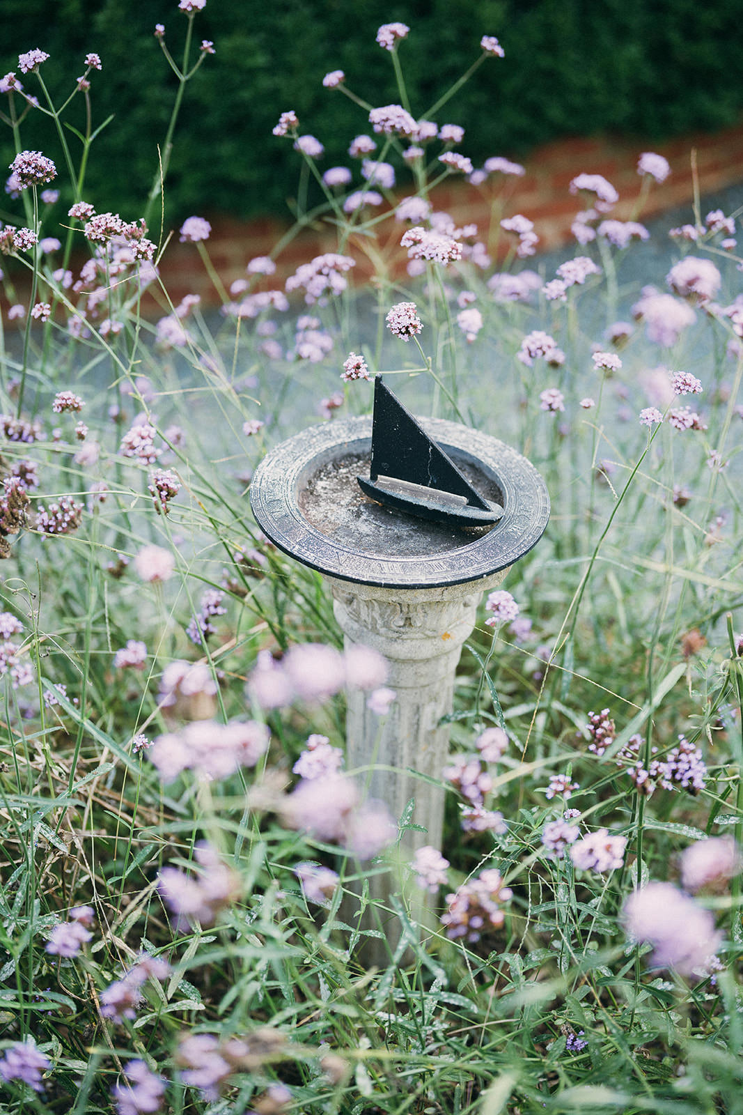 Stephanie & Max Wedding