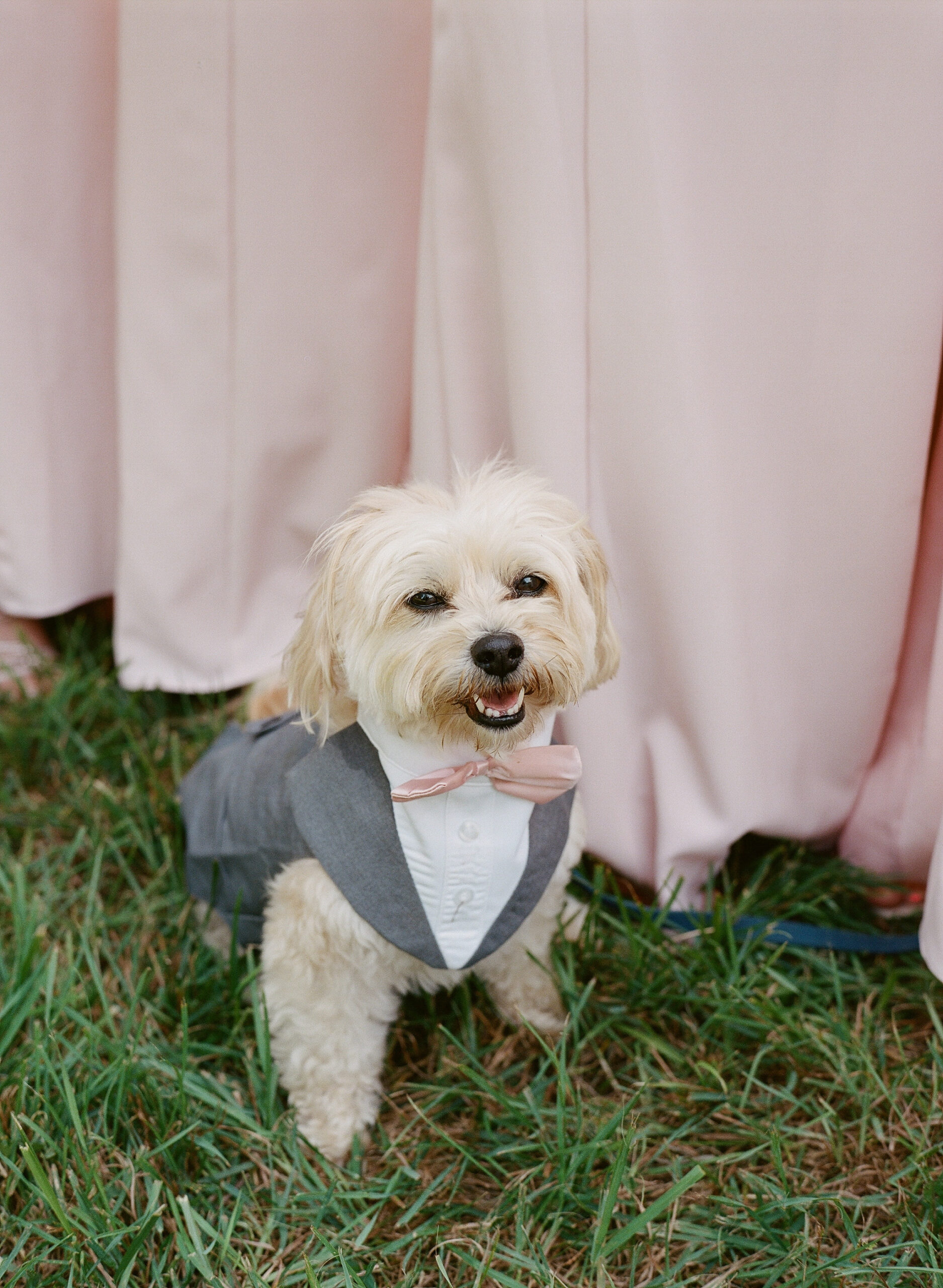 farm wedding