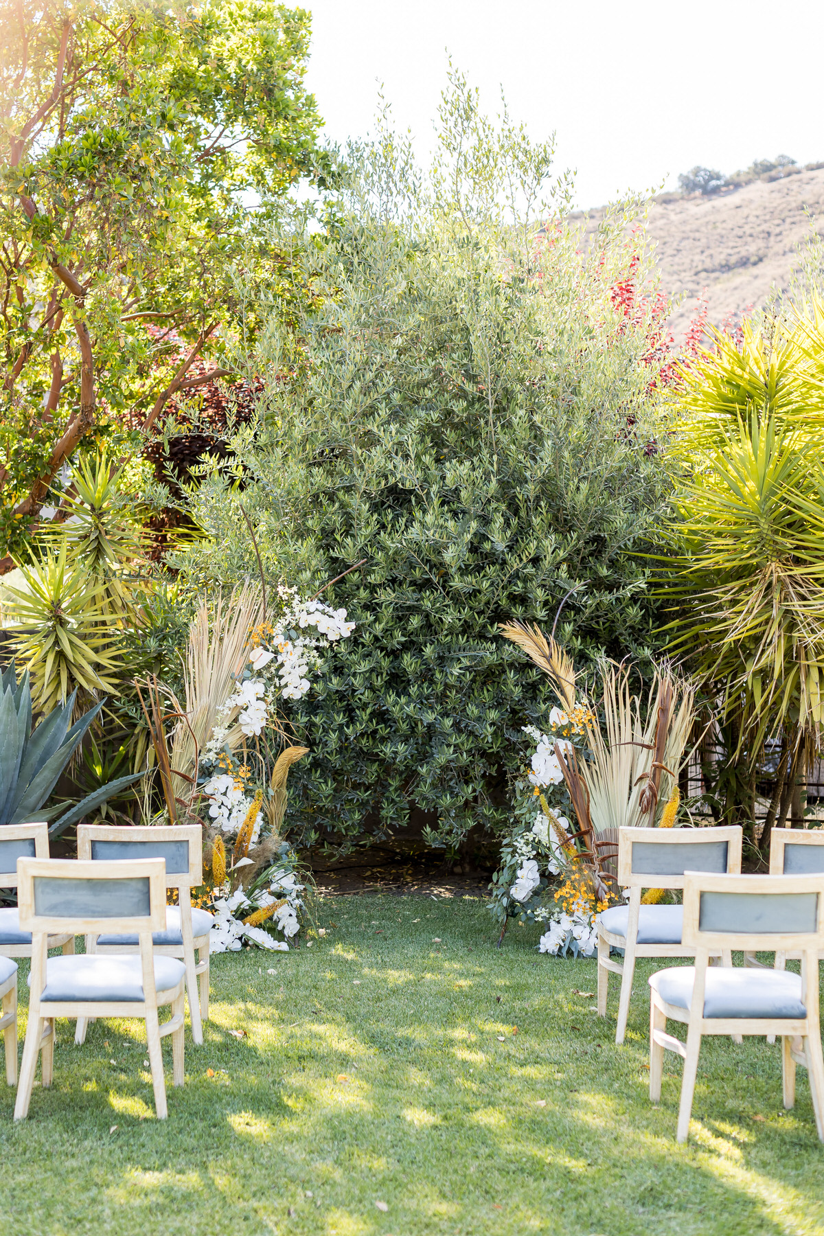 vineyard Wedding during early fall