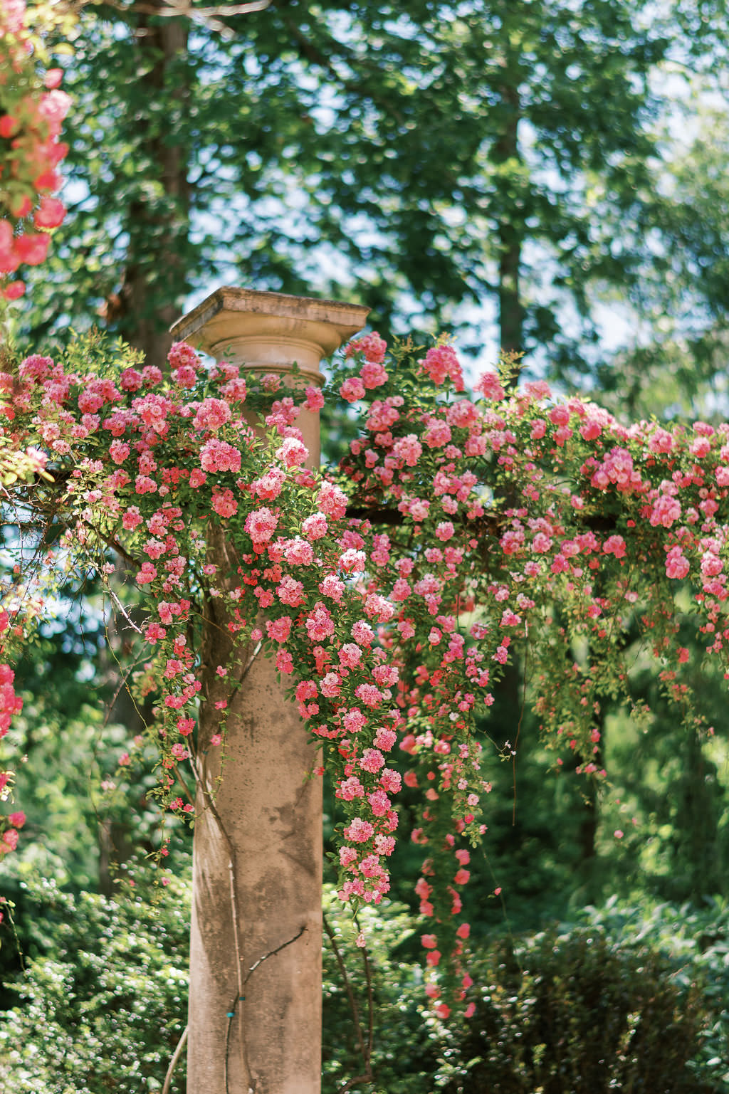 Pinkbloominggarden Atlanta Wedding