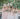 bridesmaids in blush pink dresses - photo by Dave Richards Photography https://ruffledblog.com/boho-calamigos-ranch-wedding