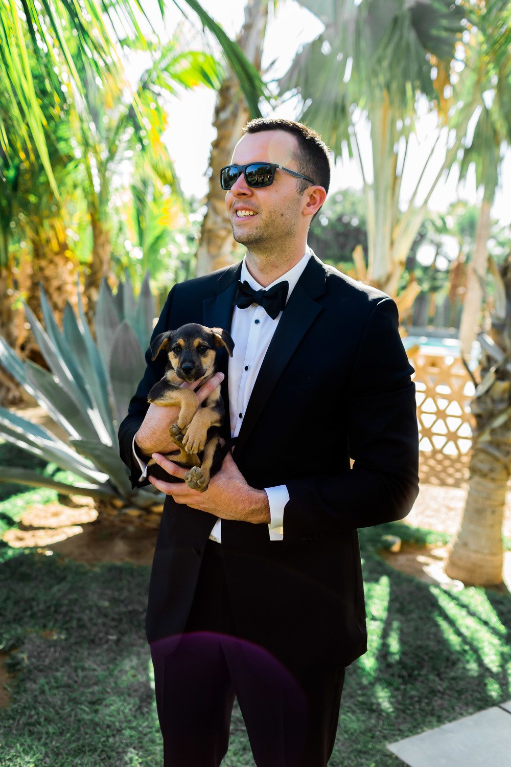 groom in black tux holding a puppy