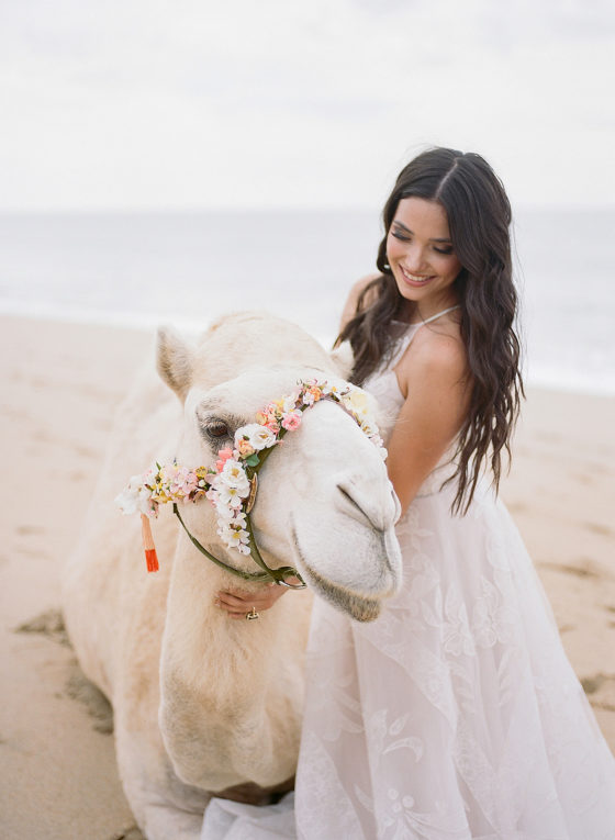 In Case You Needed Another Reason to Want a Destination Wedding in Cabo Mexico:  READ THIS