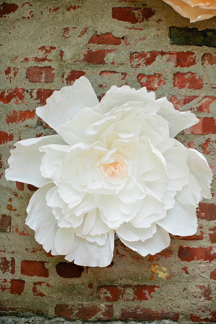 DIY Giant Paper Peonies and Spider Mums ⋆ Ruffled