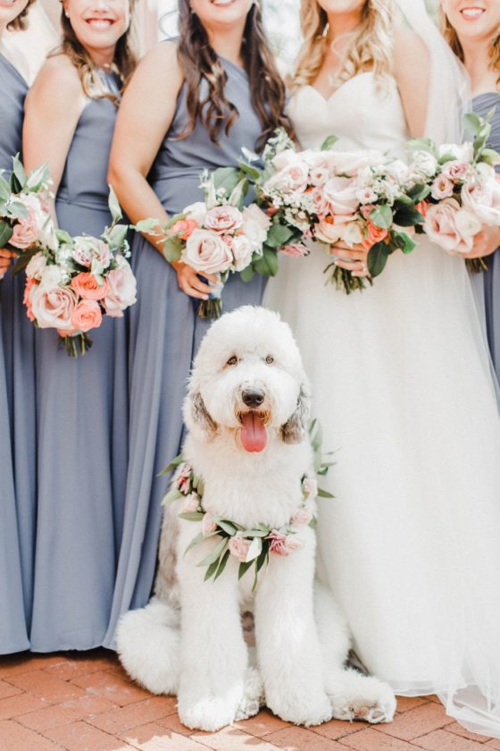 Femme Baltimore Wedding With The Sweetest Dog of Honor