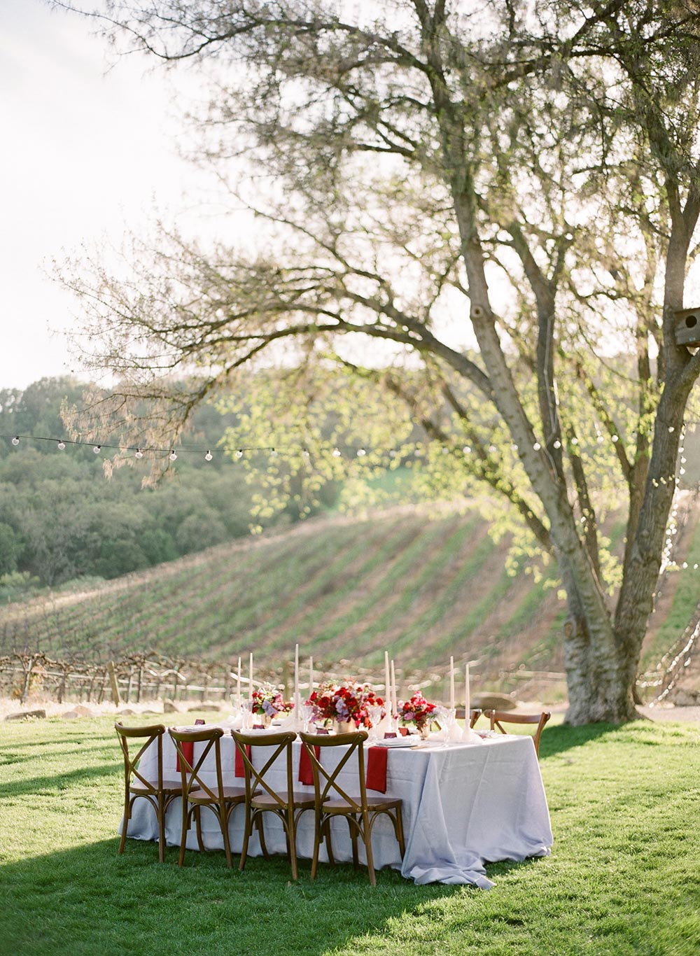 lilac and burgundy outdoor wedding table