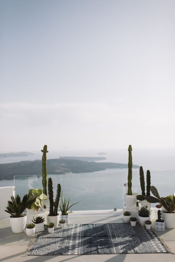 Cutest Family Elopement in Santorini with Cacti and Succulents